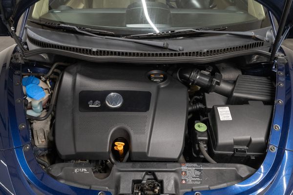 Volkswagen Beetle 1.6