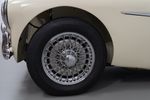 Austin-Healey 100/4 (BN1)
